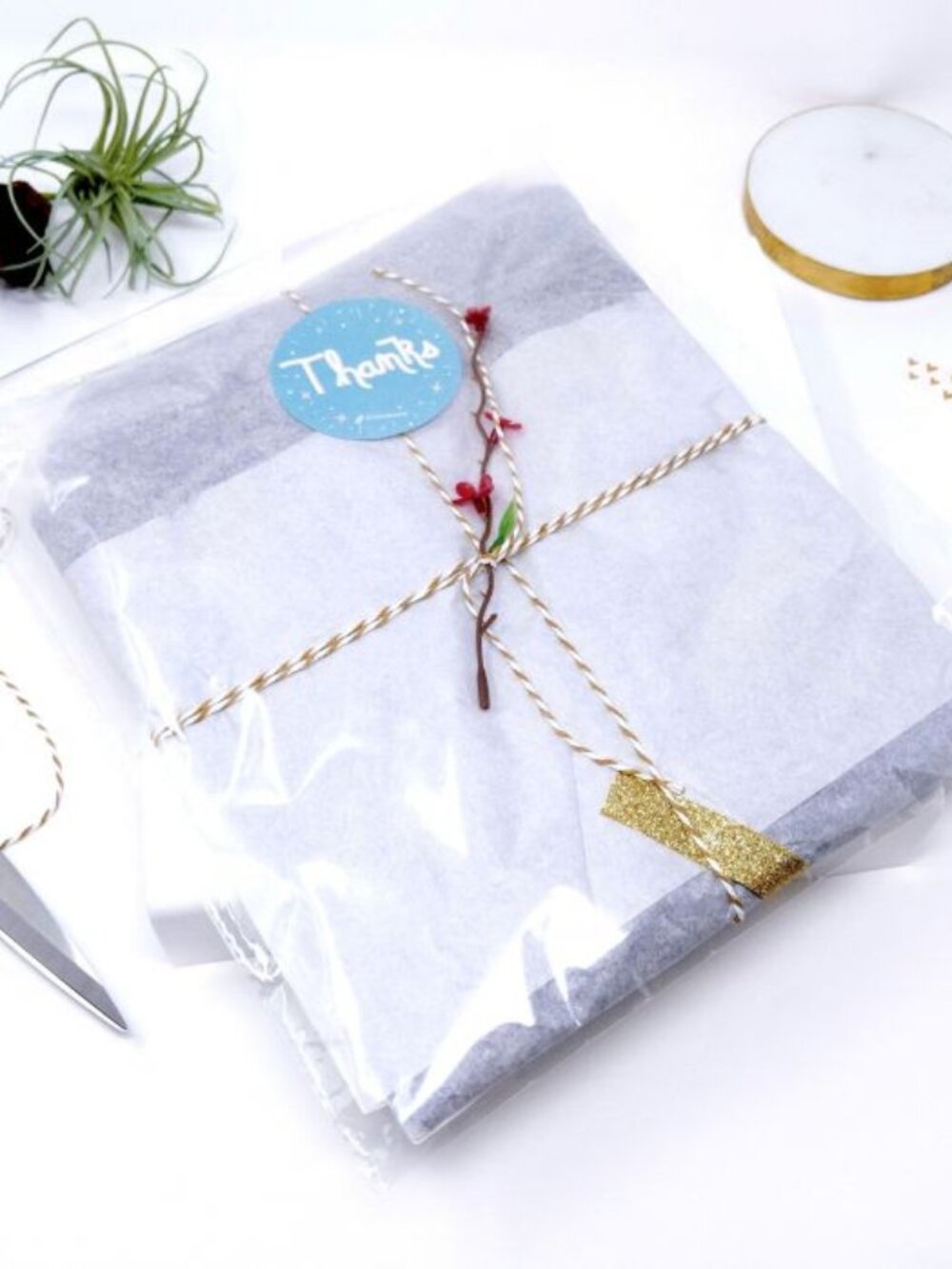 Clear 6X6 Self Seal Bags (25)